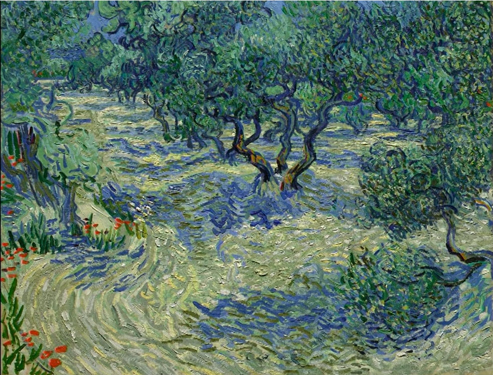 olive orchard